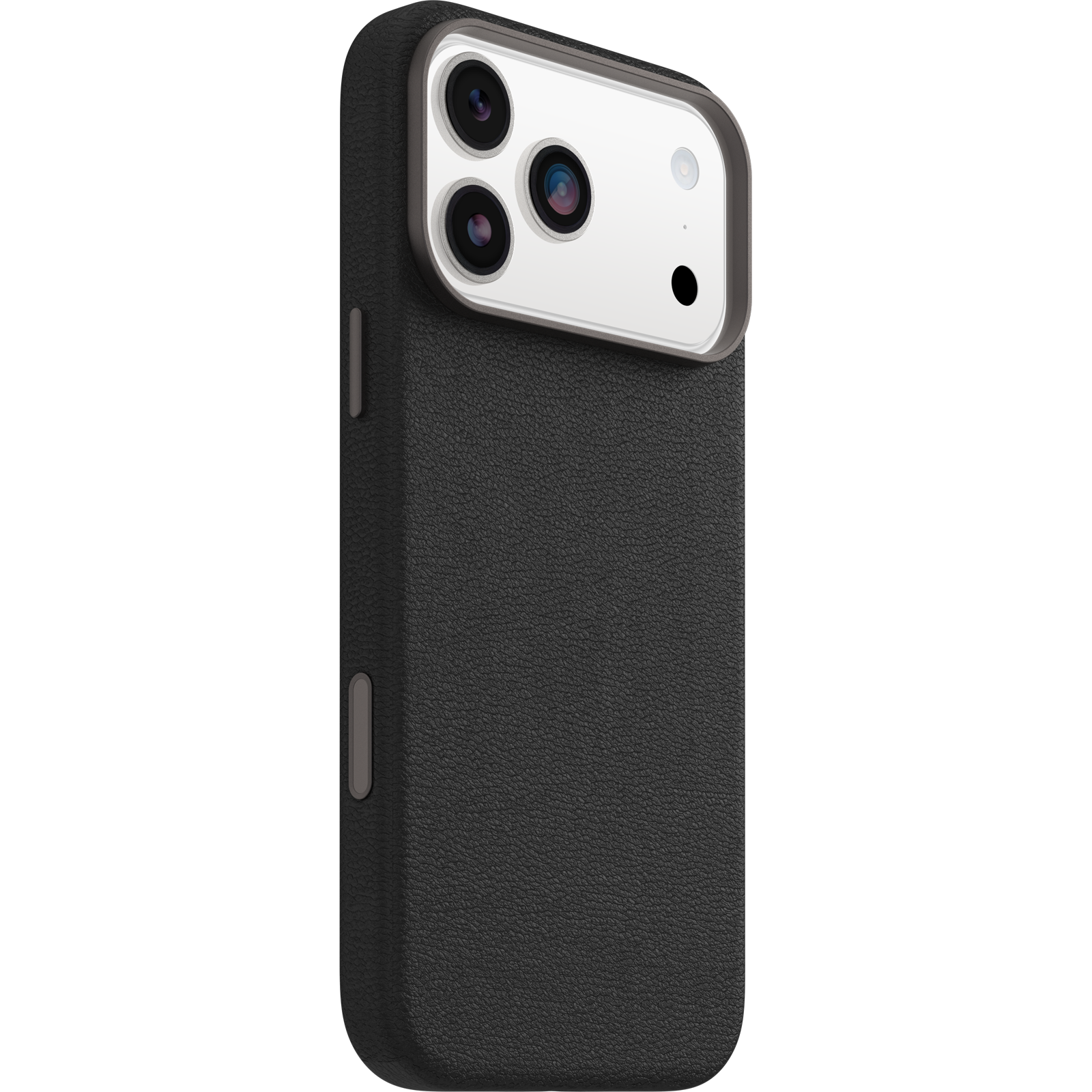 Symmetry Cactus Leather Series Magnet with Camera Control for iPhone 17 ProMax